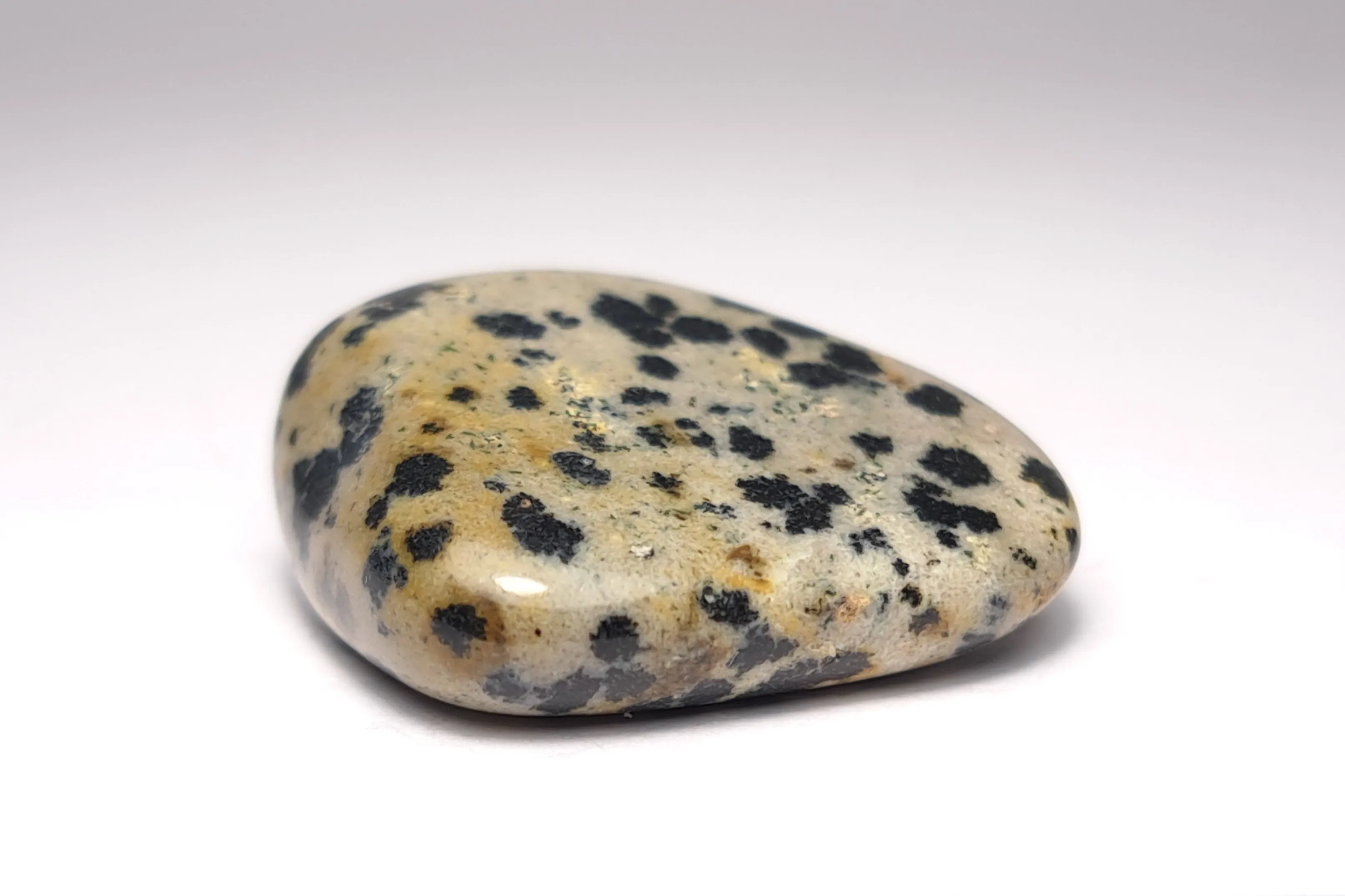 Dalmatian jasper, polished